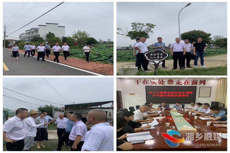 [东郊乡]发挥人大作用 聚力乡村振兴