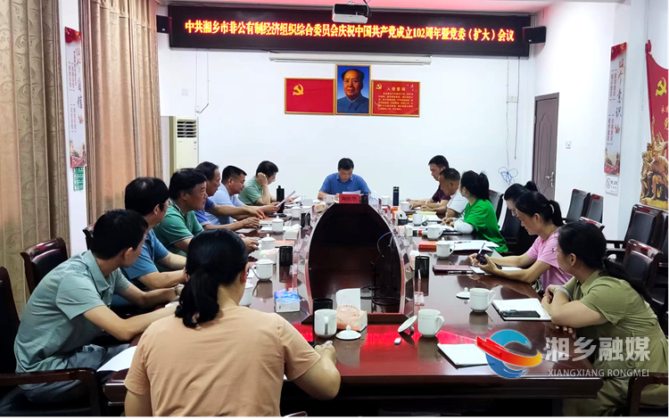 [市场监管局]市非公综合党委庆祝建党102周年会议召开