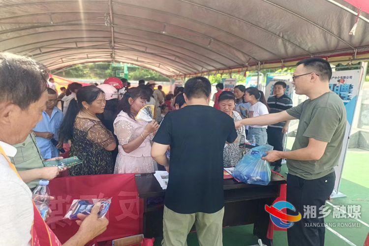 [金石镇]就业服务送下乡 民生保障添活力