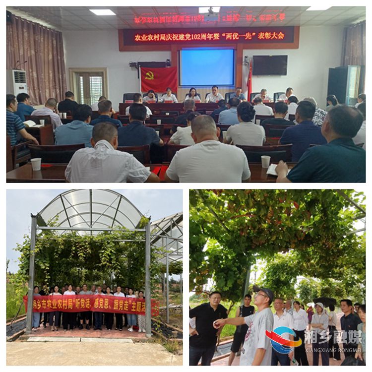 [农业农村局]坚持党建引领 助力乡村振兴