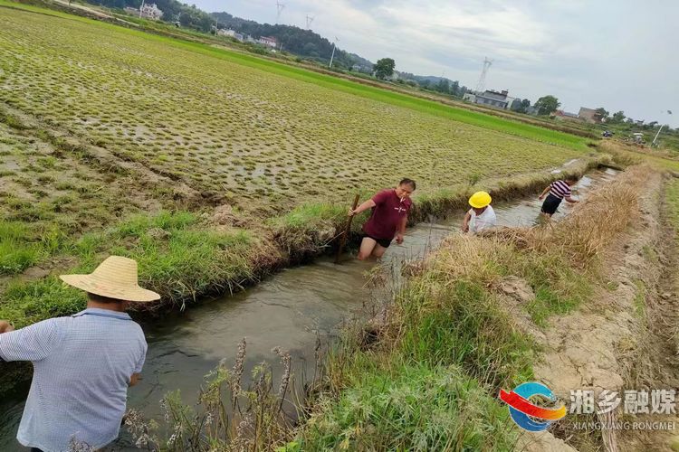 [白田镇]清淤除障疏活水 渠通水畅保灌溉