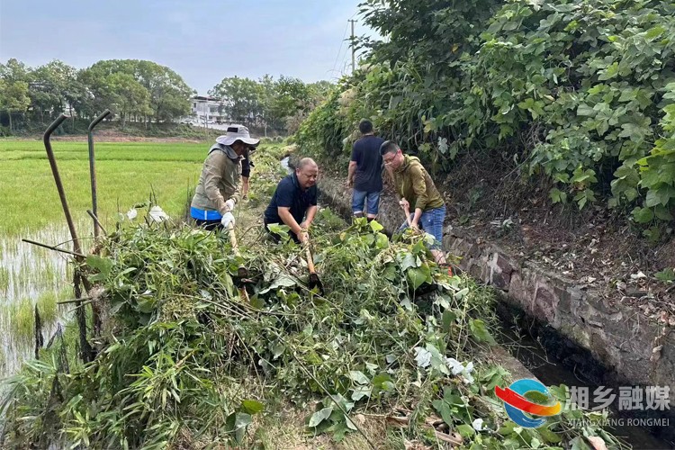 [望春门街道]清理支渠保畅通