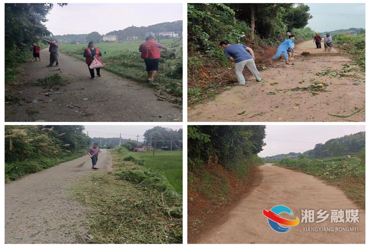 [金石镇]党员群众齐发力 共建美丽宜居乡村