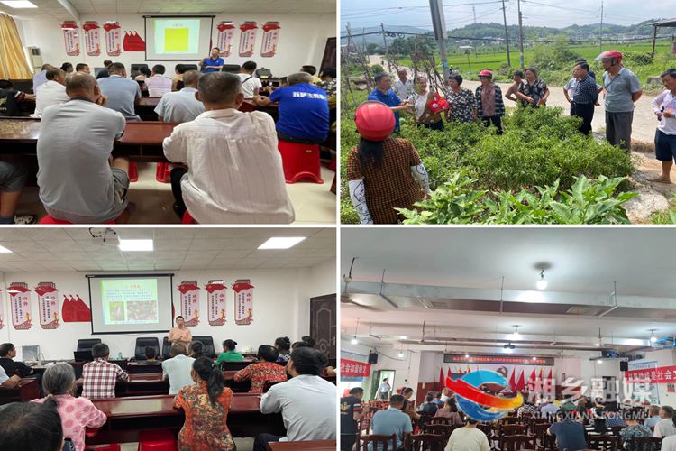 [梅桥镇]“量体裁衣”式培训 助力残疾人增收致富