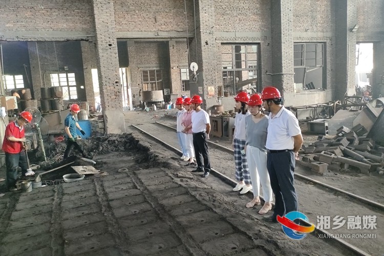 [龙洞镇]组织人大代表开展“一法一条例一规定”执法检查