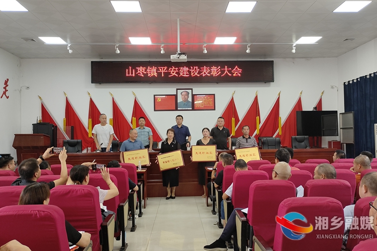 [山枣镇]扎实做好群众工作 全面推进乡村振兴