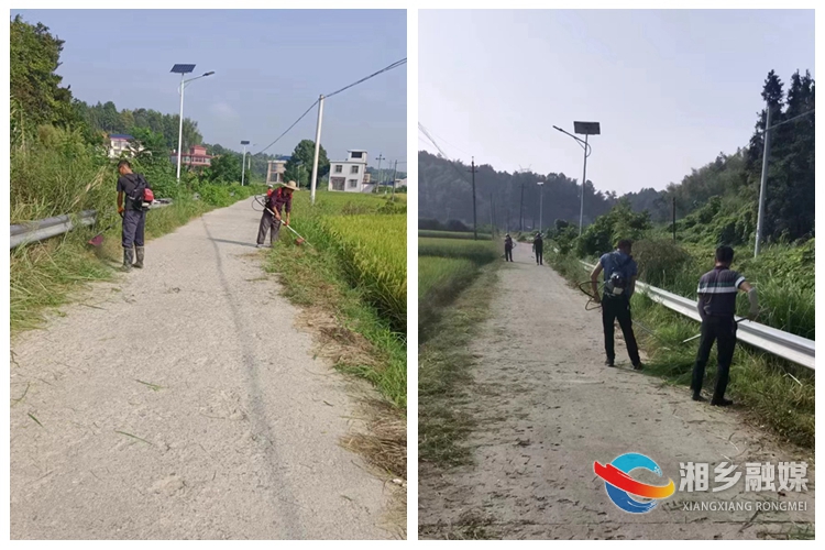 [金石镇]集中清理杂草 美化人居环境