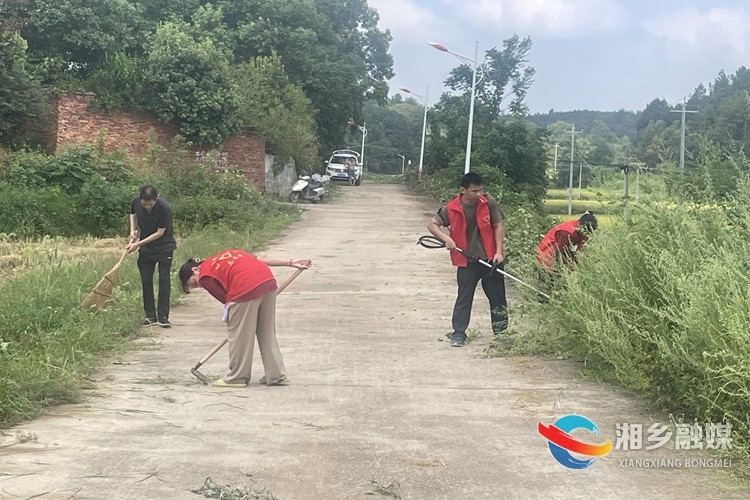 [龙洞镇]清理杂草无死角 人居环境再提升