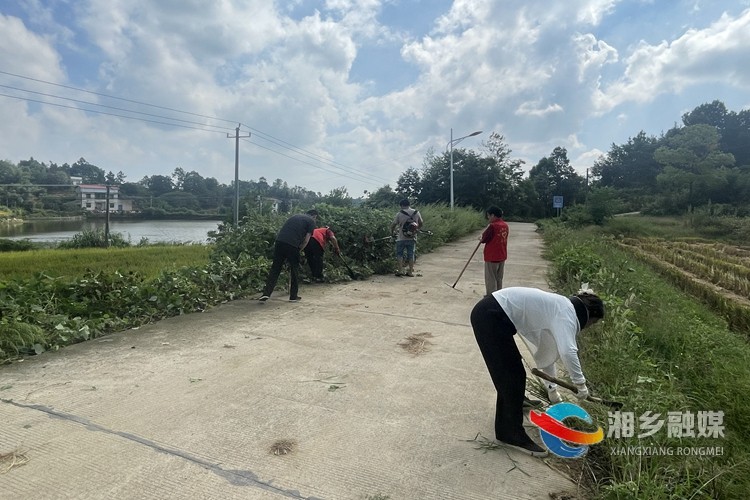 [龙洞镇]清理杂草无死角 人居环境再提升
