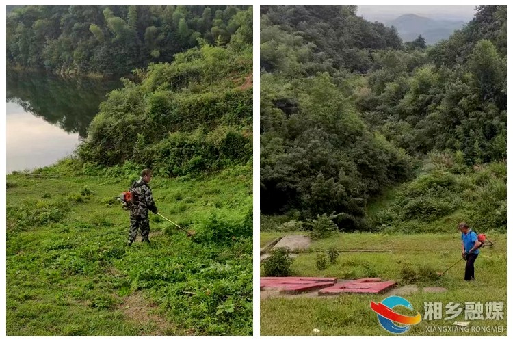 [山枣镇]清除水库杂草 守护碧水清波