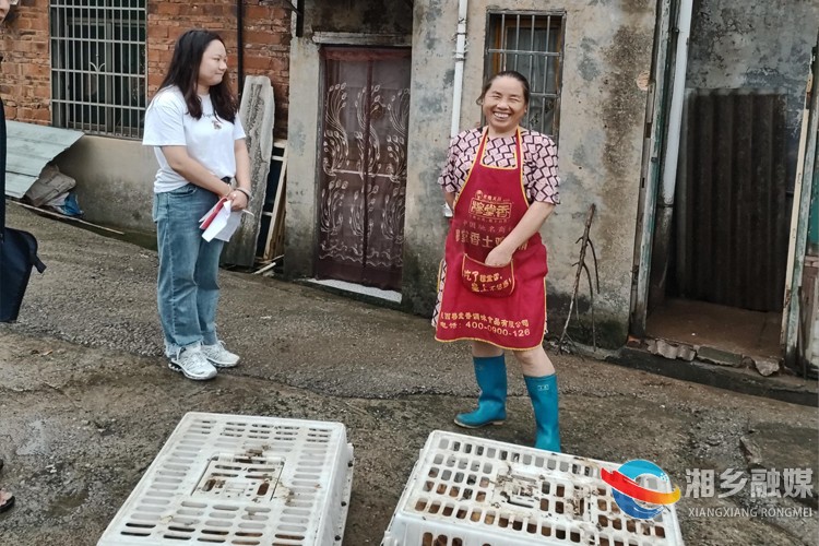 [望春门街道]鸡苗送到农家院 增收致富“鸡”会大