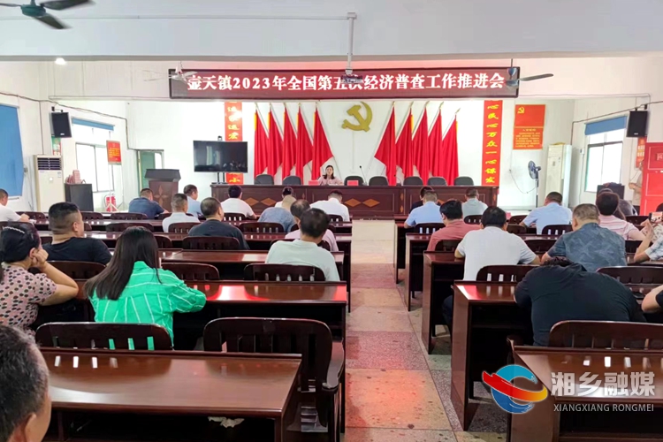 [壶天镇]多措并举！扎实开展全国第五次经济普查工作