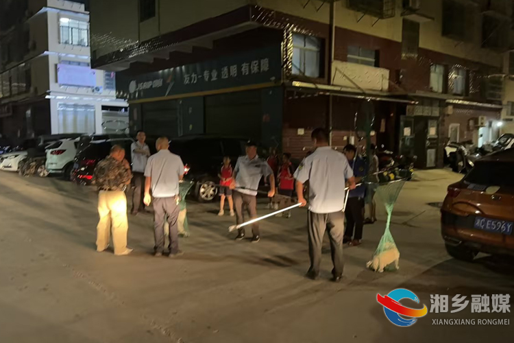 [望春门街道]整治不文明养犬行为 助力文明城市创建