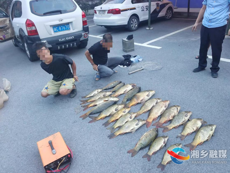 [农业农村局]查获非法电捕鱼 保护涟水河生态