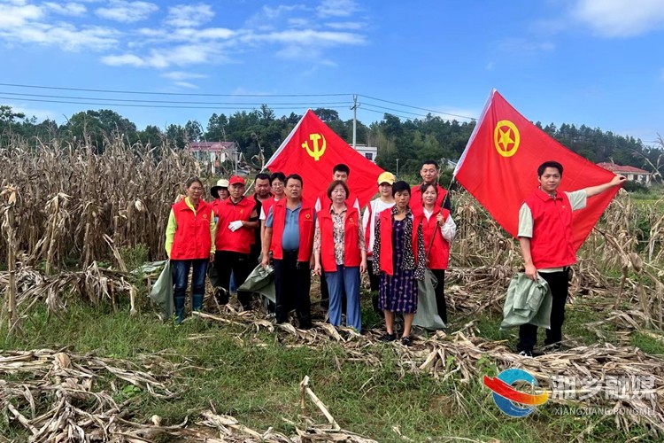 [壶天镇]党员干部齐上阵  志愿助农暖心田