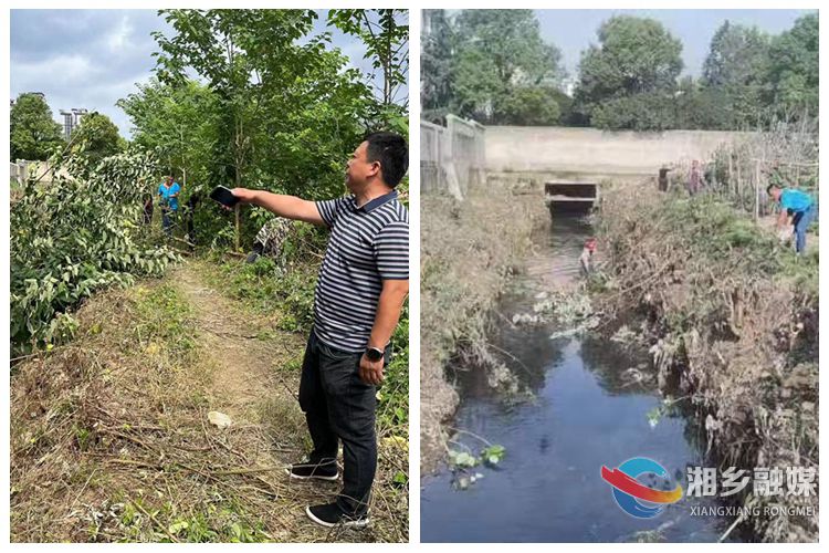 [东山街道]开展河渠清理 打造美丽东山