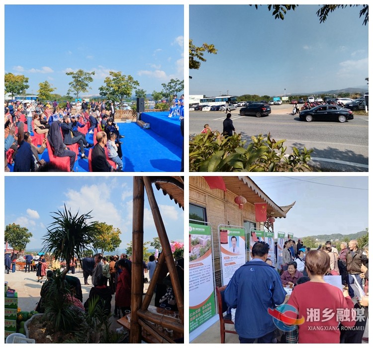 喜获丰收！首届“鹅婆山水果采摘节”助农创收50万元