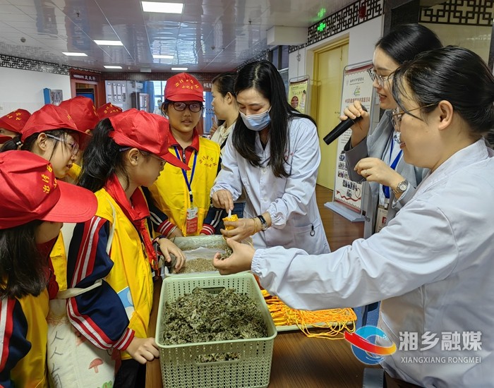 [中医医院]弘扬中医文化 传承国粹精华