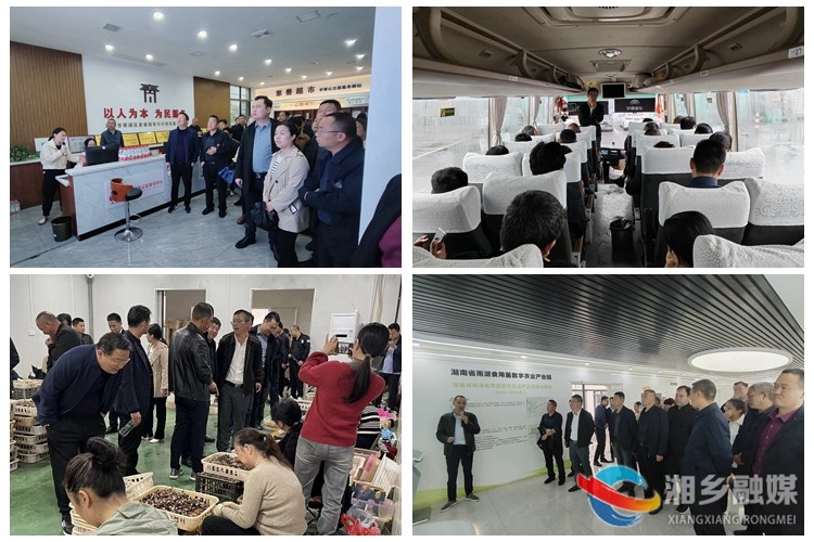 [毛田镇]考察学习“取真经” 拓展发展新思路