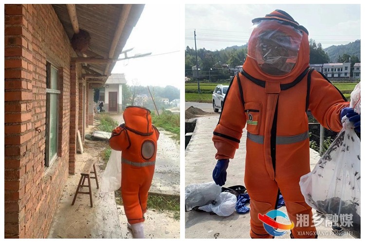 [金薮乡]马蜂筑巢扰民 消防迅速处置