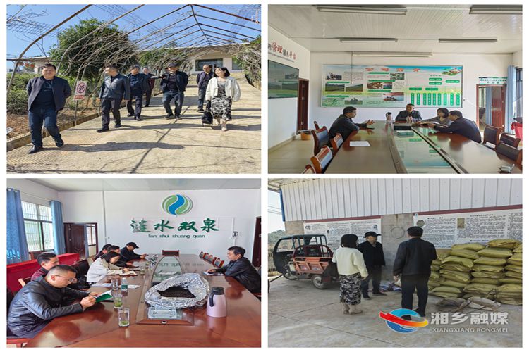 [栗山镇]学习考察茶叶种植经验 助力乡村产业振兴