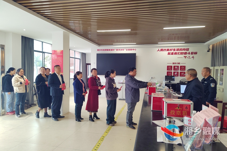 [龙洞镇]人大代表补选工作圆满完成