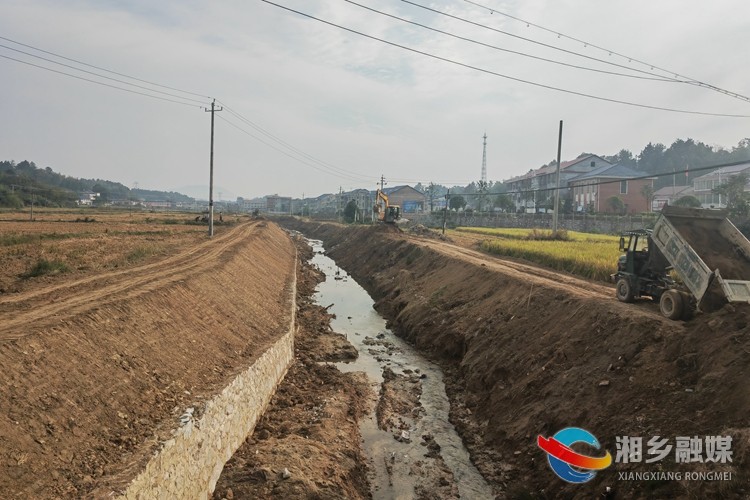 [金薮乡]打造样板河流 建设美丽乡村