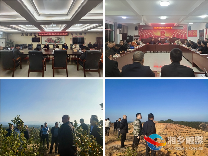 [白田镇]考察学习取经验 油茶产业谱新篇