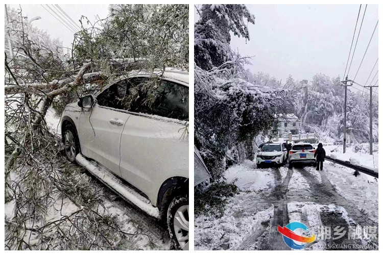 [山枣镇]积雪压断树枝 紧急处理护平安