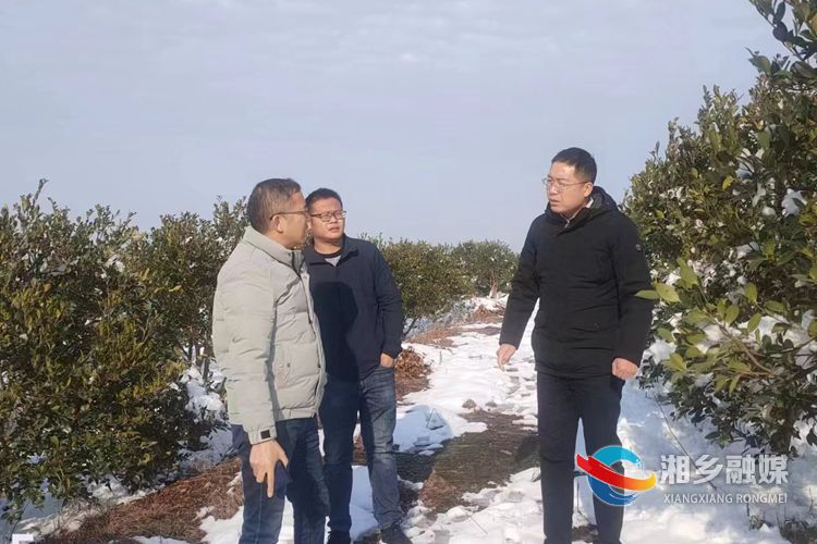 [龙洞镇]人大代表助力冬季安全生产工作