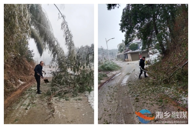 [金石镇]扫雪除冰清断枝 共战冰雪暖意浓