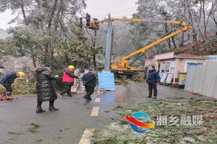 [林业局]齐心协力除冰雪 多措并举保安全