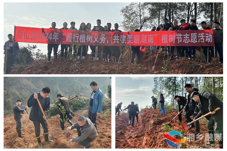 [栗山镇]草长莺飞春意浓 三月植树添绿意