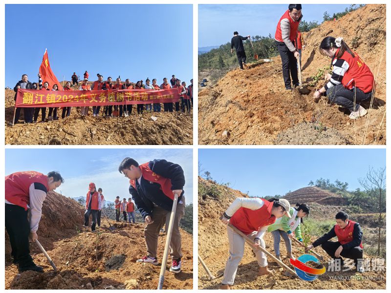 [翻江镇]手栽一抹绿 共植一片林