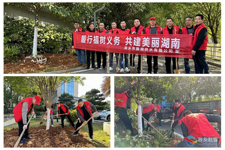 [城管局]履行植树义务 共建美好家园