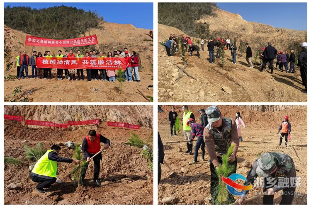 [梅桥镇]不负好春光 添绿美家园