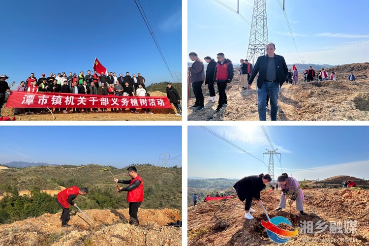 [潭市镇]春回大地万物苏 义务植树添新绿