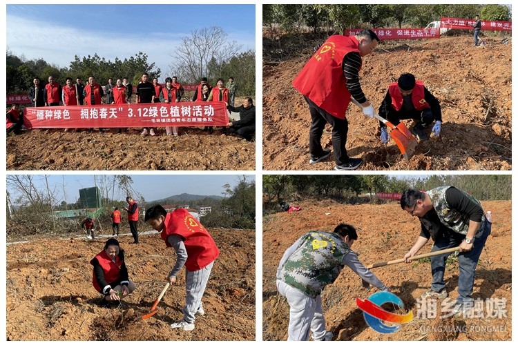 [毛田镇]播种绿色 拥抱春天