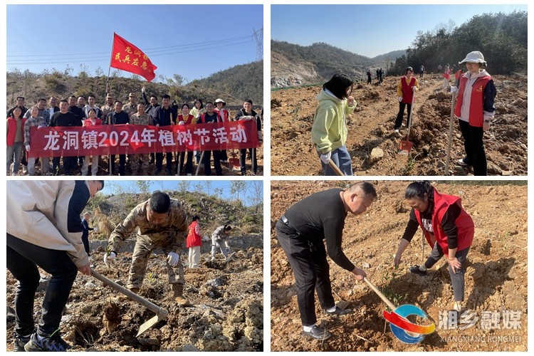 [龙洞镇]“植”此青绿 这群“红马甲”种下了希望