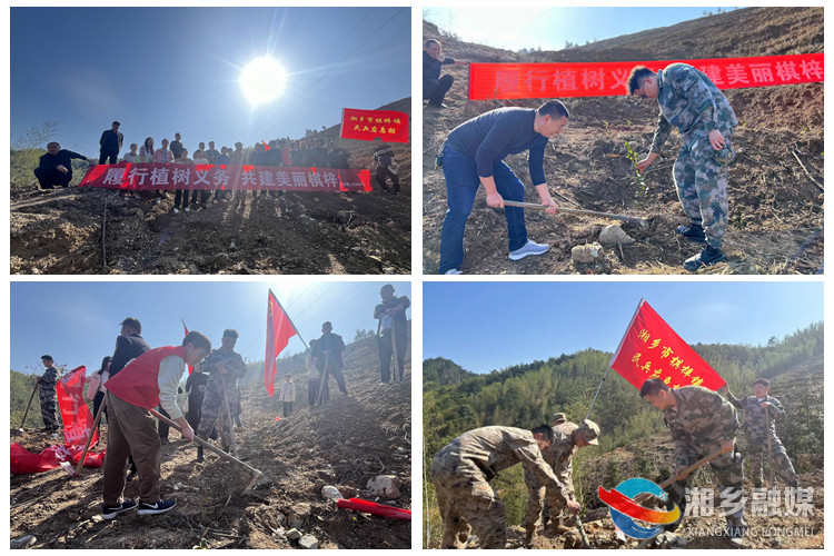 [棋梓镇]又是一年春好处 植树添绿正当时