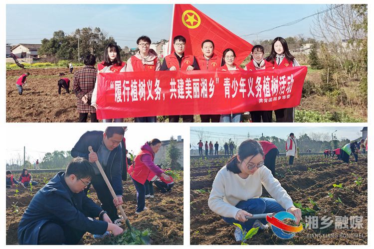 [团市委]绿美龙城  青年先行