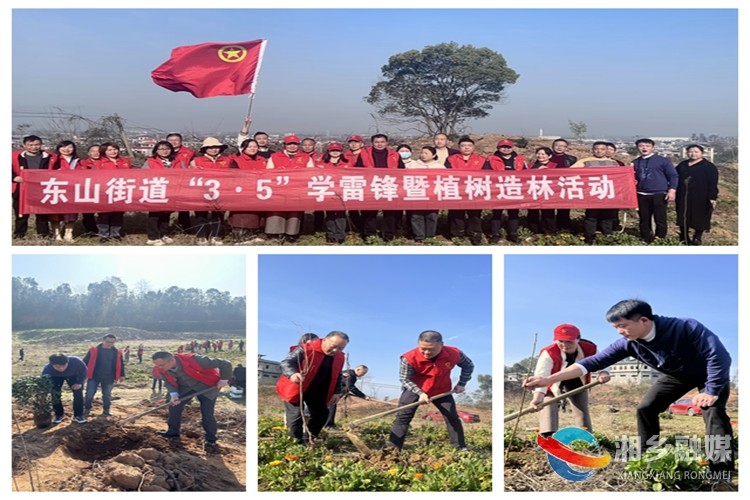 [东山街道]春回大地万物苏 植树造林添新绿