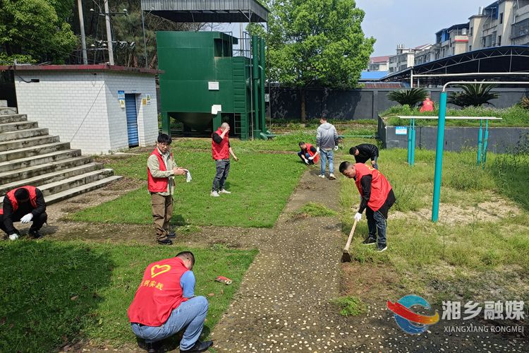 [月山镇]开展志愿活动 打造美丽水厂