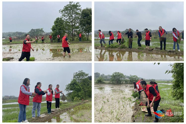 [育塅乡]党员带头助春耕 “田间地头”别样红
