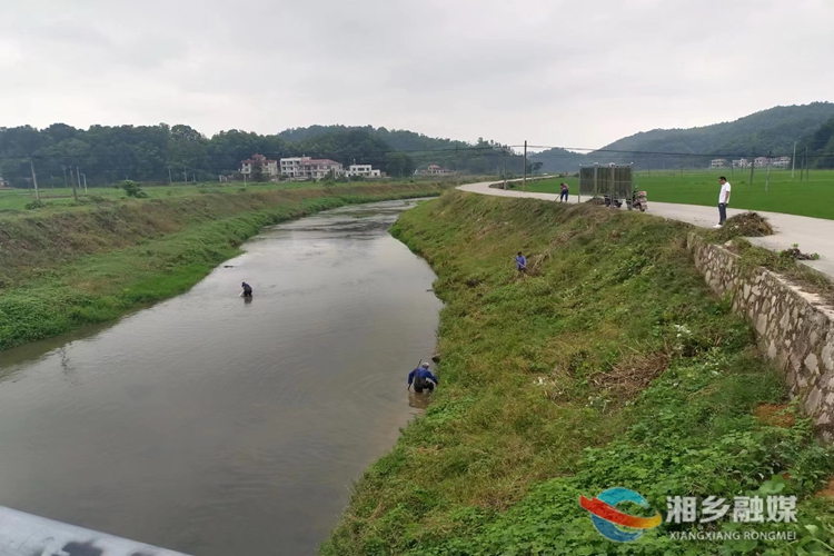 [梅桥镇]清洁常态化 护河不停歇