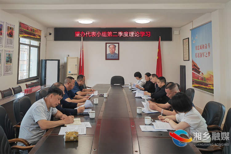 [望春门街道]开展第二季度代表小组活动