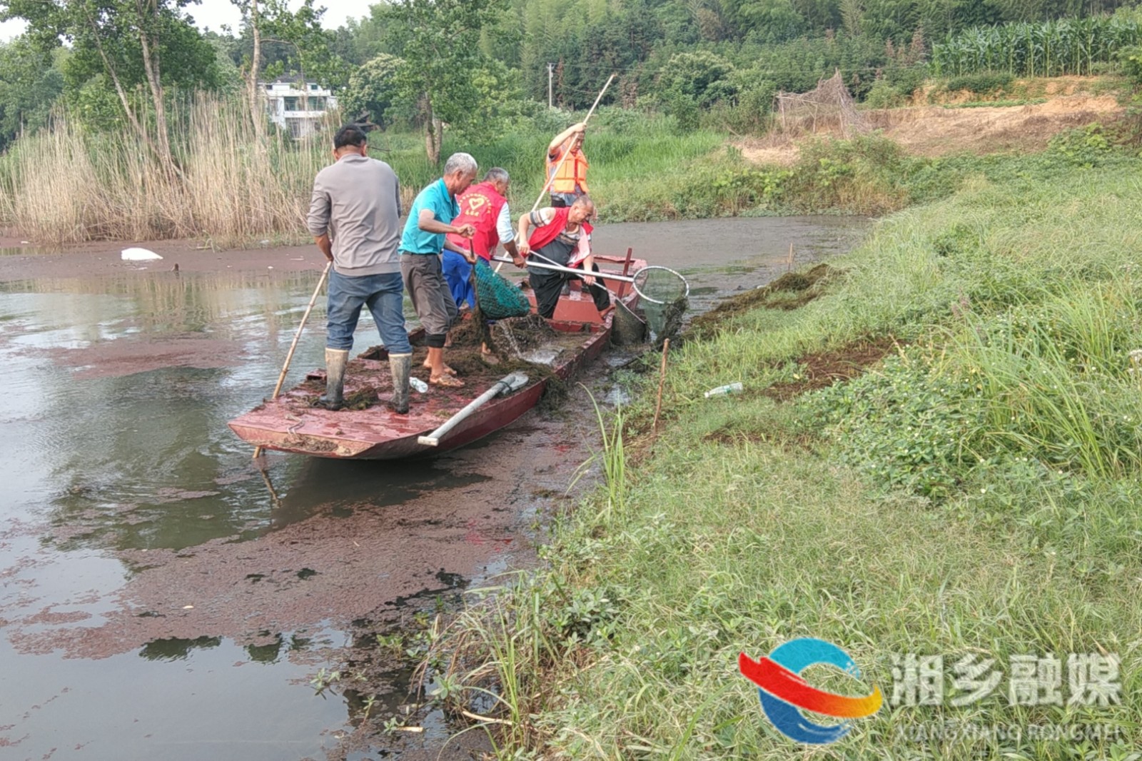 [毛田镇]清理河道垃圾 保护水域环境