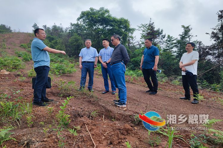 湘潭市林业局来湘乡调研林火阻隔系统建设