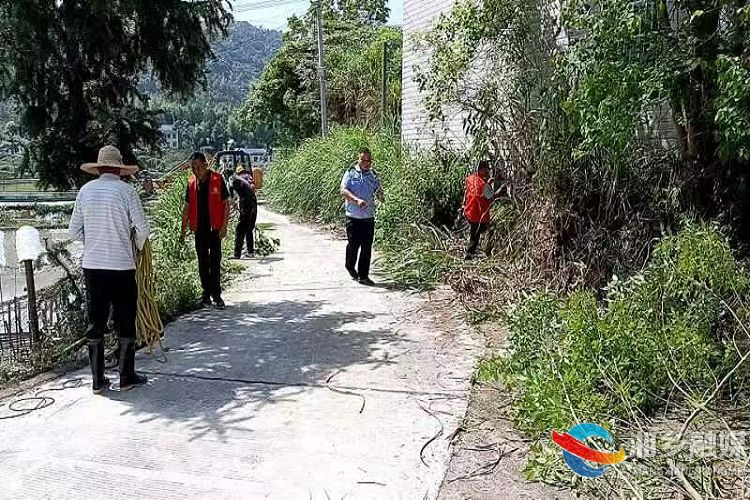 [白田镇]开展主题党日活动 助力人居环境整治