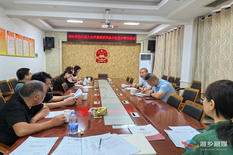 [梅桥镇]发挥人大代表作用 助力基层社会治理